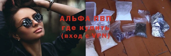 СК Абинск