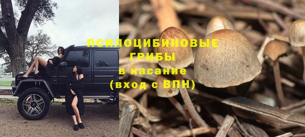 метадон Медвежьегорск